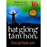 Hạt Giống Tâm Hồn Tập 16 – Tìm Lại Bình Yên tim lai binh yen song