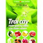 Trái cây món quà kỳ diệu của thiên nhiên trai cay mon qua ki dieu cua thien nhien