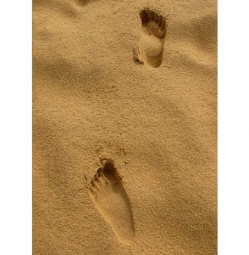 Trở Về – Nguyễn Thị Việt Nga tro ve