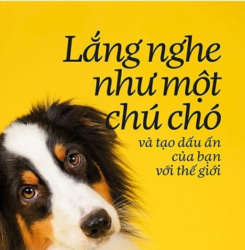 Lắng Nghe Như Một Chú Chó Và Tạo Dấu Ấn Của Bạn Với Thế Giới lang nghe nhu mot chu cho va tao dau an cua ban voi the gioi