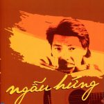 Ngẫu hứng ngau hung