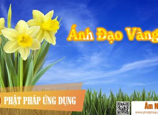 Ánh Đạo Vàng – Mai Quốc Huy Ánh Đạo Vàng - Mai Quốc Huy | Phật Pháp Ứng Dụng