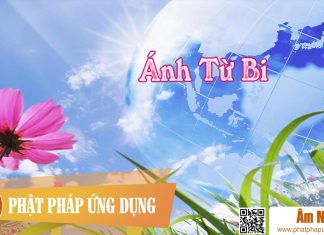 Ánh Từ Bi – Nam Cường Ánh Từ Bi - Nam Cường | Phật Pháp Ứng Dụng