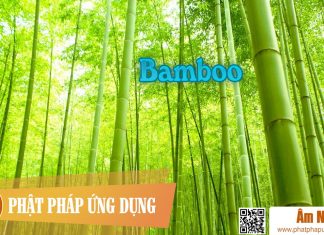 Baamboo Baamboo | Phật Pháp Ứng Dụng