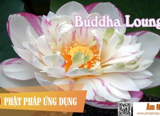 Buddha Lounge Buddha Lounge | Phật Pháp Ứng Dụng