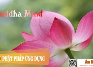 Buddha Mind Chinese Buddhist Buddha Mind Chinese Buddhist | Phật Pháp Ứng Dụng