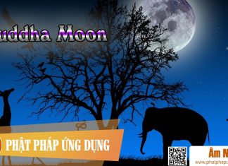 Buddha Moon Buddha Moon | Phật Pháp Ứng Dụng
