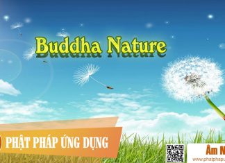 Buddha Nature Deuter Buddha Nature Deuter | Phật Pháp Ứng Dụng