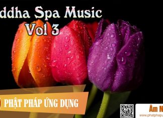 Buddha Spa Music Vol 3 Buddha Spa Music Vol 1 | Phật Pháp Ứng Dụng 3