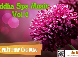 Buddha Spa Music Vol 4 Buddha Spa Music Vol 1 | Phật Pháp Ứng Dụng 4