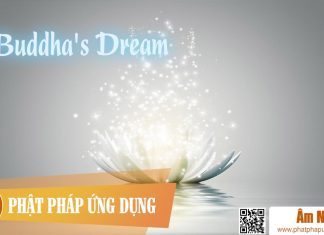 Buddha’s Dream Buddha's Dream | Phật Pháp Ứng Dụng
