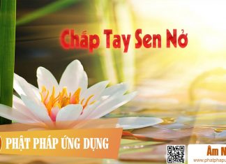 Chắp Tay Sen Nở – Đặng Thế Luân Chắp Tay Sen Nở - Đặng Thế Luân | Phật Pháp Ứng Dụng