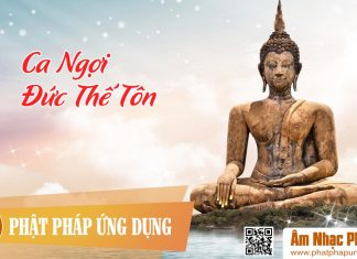 Ca Ngợi Đức Thế Tôn – Quách Tuấn Du Ca Ngợi Đức Thế Tôn - Quách Tuấn Du | Phật Pháp Ứng Dụng