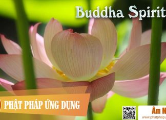 Buddha Spirit I Am-Nhac-Phat-Giao-Buddha-Spirit-I-Phat-Phap-Ung-Dung