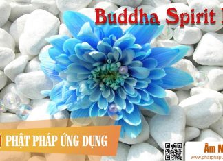 Buddha Spirit III Am-Nhac-Phat-Giao-Buddha-Spirit-Iii-Phat-Phap-Ung-Dung