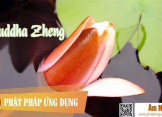 Buddha Zheng Am-Nhac-Phat-Giao-Buddha-Zheng-(phat-Tranh)-Phat-Phap-Ung-Dung
