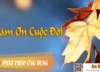 Cảm Ơn Cuộc Đời – Hùng Thanh Am-Nhac-Phat-Giao-Cam-On-Cuoc-Doi-Phat-Phap-Ung-Dung