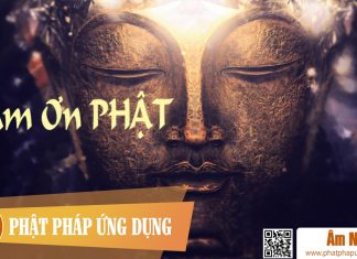 Cảm Ơn Phật – Thanh Thúy Am-Nhac-Phat-Giao-Cam-On-Phat-Phat-Phap-Ung-Dung