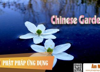 Chinese Garden Am-Nhac-Phat-Giao-Chinese-Garden-Phat-Phap-Ung-Dung