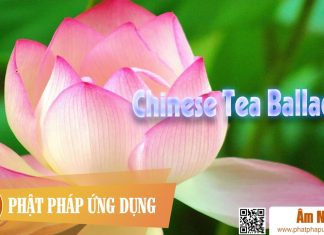 Chinese Tea Ballads Am-Nhac-Phat-Giao-Chinese-Tea-Ballads-Phat-Phap-Ung-Dung