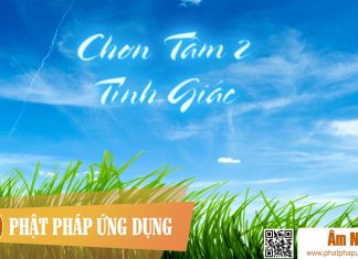 Chơn Tâm 2 – Tỉnh Giác – Thanh Ngân Am-Nhac-Phat-Giao-Chon-Tam-2-Tinh-Giac-Phat-Phap-Ung-Dung
