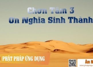 Chơn Tâm 3 – Ơn Nghĩa Sinh Thành – Thanh Ngân Am-Nhac-Phat-Giao-Chon-Tam-3-On-Nghia-Sinh-Thanh-Phat-Phap-Ung-Dung