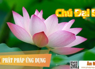 Album Chú Đại Bi – Phương Nghi Am-Nhac-Phat-Giao-Chu-Dai-Bi-Phat-Phap-Ung-Dung
