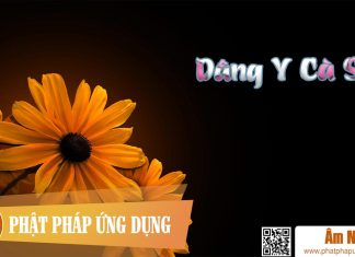 Dâng Y Cà Sa Am-Nhac-Phat-Giao-Dang-Y-Ca-Sa-Phat-Phap-Ung-Dung