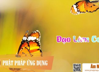 Đạo Làm Con – Hoàng Duy Am-Nhac-Phat-Giao-Dao-Lam-Con-Phat-Phap-Ung-Dung