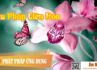 Diệu Pháp Liên Hoa – Huỳnh Nguyễn Công Bằng Am-Nhac-Phat-Giao-Dieu-Phap-Lien-Hoa-Phat-Phap-Ung-Dung
