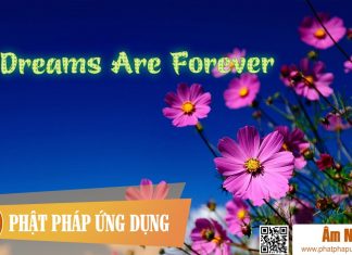 Dreams Are Forever Am-Nhac-Phat-Giao-Dreams-Are-Forever-Phat-Phap-Ung-Dung