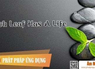 Each Leaf Has A Life Am-Nhac-Phat-Giao-Each-Leaf-Has-A-Life-(co-Cam)-Phat-Phap-Ung-Dung