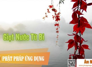 Giọt Nước Từ Bi – Quang Lê Am-Nhac-Phat-Giao-Giot-Nuoc-Tu-Bi-Phat-Phap-Ung-Dung