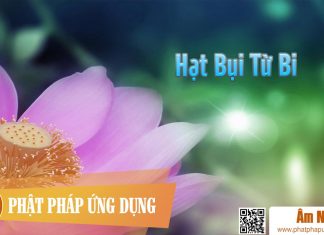 Hạt Bụi Từ Bi – Hồng Mơ Am-Nhac-Phat-Giao-Hat-Bui-Tu-Bi-Phat-Phap-Ung-Dung