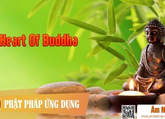 Heart Of Buddha Am-Nhac-Phat-Giao-Heart-Of-Buddha-Phat-Phap-Ung-Dung