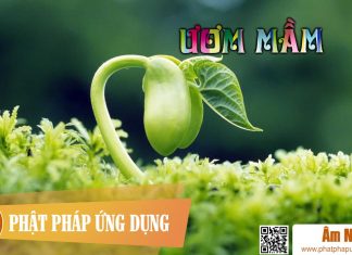 Ươm Mầm Am-Nhac-Phat-Giao-Uom-Mam-Phat-Phap-Ung-Dung