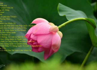 Những bài hát tân nhạc Phật giáo chọn lọc – Vol 2 Những bài hát tân nhạc Phật giáo chọn lọc - Vol 2 | Phật Pháp Ứng Dụng