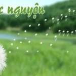 Album Nhạc: Ước Nguyện – Thích Phước Tiến Ước Nguyện - Nhạc Phật Giáo - Đại Đức Thích Phước Tiến
