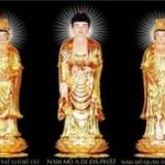 Giới Thiệu Đại Cương Kinh A Di Đà Giới Thiệu Đại Cương Kinh A Di Đà
