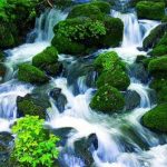 Bổn Tôn – Suối Nguồn Của Những Thành Tựu Bổn Tôn - Suối Nguồn Của Những Thành Tựu