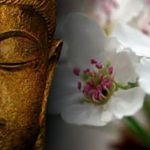 Chết – Thân Trung Ấm – Tái Sinh Chết - Thân Trung Ấm - Tái Sinh