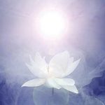 Trợ niệm lúc lâm chung Nếu Chọn Sai Hãy Chọn Lại (ĐĐ Thích Thiện Tuệ)
