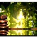 Tông phái Phật Giáo Tông phái Phật Giáo