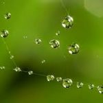Bình thản trong tỉnh thức Bình thản trong tỉnh thức