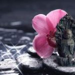 Chết an lạc tái sinh hoan hỷ (Chương 2) Chết an lạc tái sinh hoan hỷ (Chương 2)