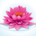 Du tâm an lạc đạo (chương 2) Du tâm an lạc đạo (chương 2)