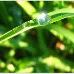 Dụng tâm tu thiền p1 Dụng tâm tu thiền p1