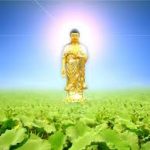HT Tịnh Không giảng Liễu Phàm Tứ Huấn (Tập 4) HT Tịnh Không giảng Liễu Phàm Tứ Huấn (Tập 4)