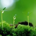 HT Tịnh Không giảng Liễu Phàm Tứ Huấn (Tập 5) HT Tịnh Không giảng Liễu Phàm Tứ Huấn (Tập 5)