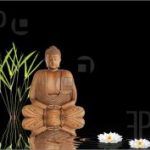Không diệt, không sinh, đừng sợ hãi (P3) Không diệt, không sinh, đừng sợ hãi (P3)
